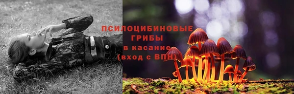 соль ск Балахна